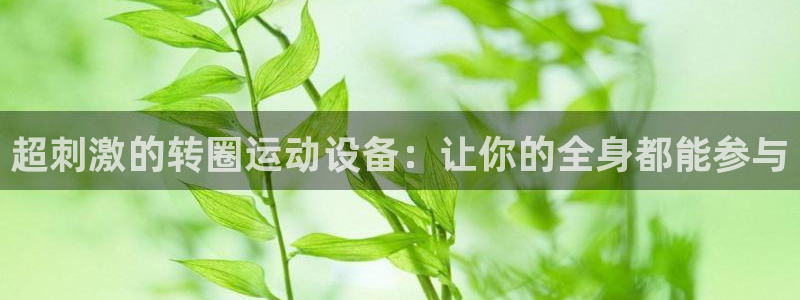 海南fb体育发展怎么样:超刺激的转圈运动设备:让你的全身都能